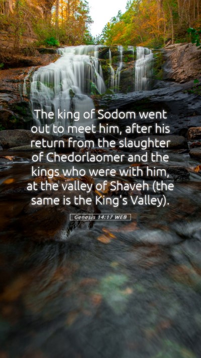 Picture 05 - Genesis 14:17 WEB Mobile Phone Wallpaper - The king of Sodom went out to meet him, after his - Mobile Bible Verse Wallpaper