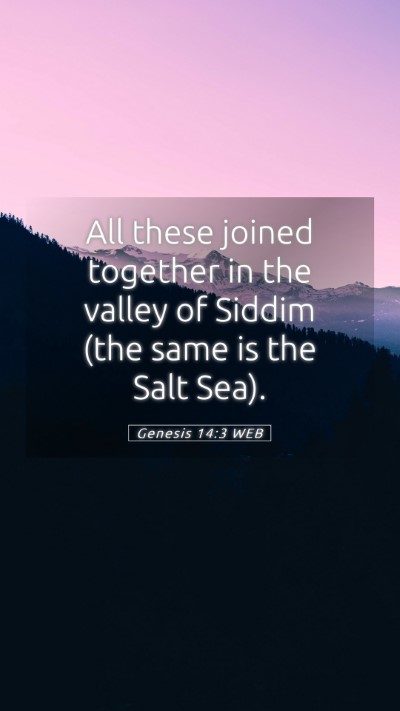 Picture 05 - Genesis 14:3 WEB Mobile Phone Wallpaper - All these joined together in the valley of Siddim - Mobile Bible Verse Wallpaper