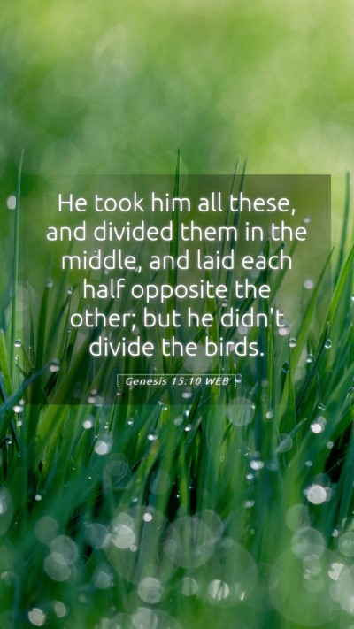 Picture 05 - Genesis 15:10 WEB Mobile Phone Wallpaper - He took him all these, and divided them in the - Mobile Bible Verse Wallpaper