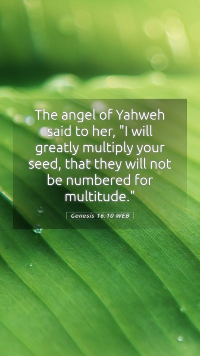 Picture 05 - Genesis 16:10 WEB Mobile Phone Wallpaper - The angel of Yahweh said to her, 
