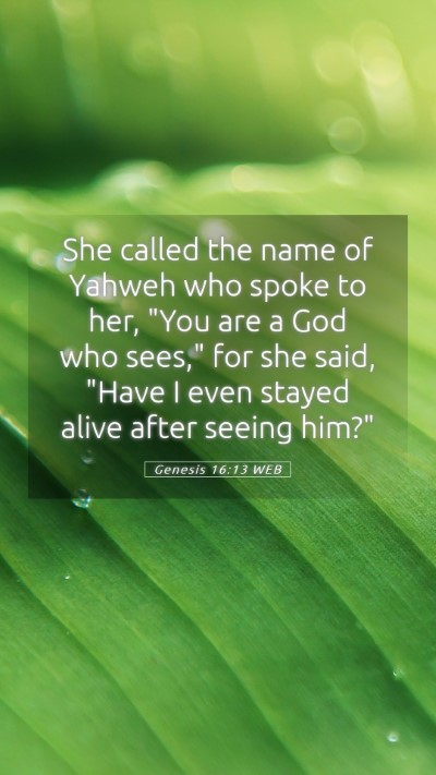 Picture 05 - Genesis 16:13 WEB Mobile Phone Wallpaper - She called the name of Yahweh who spoke to her, - Mobile Bible Verse Wallpaper