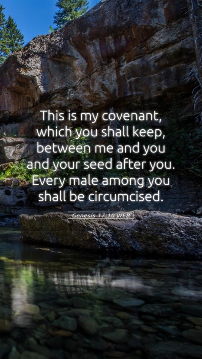 Picture 05 - Genesis 17:10 WEB Mobile Phone Wallpaper - This is my covenant, which you shall keep, - Mobile Bible Verse Wallpaper