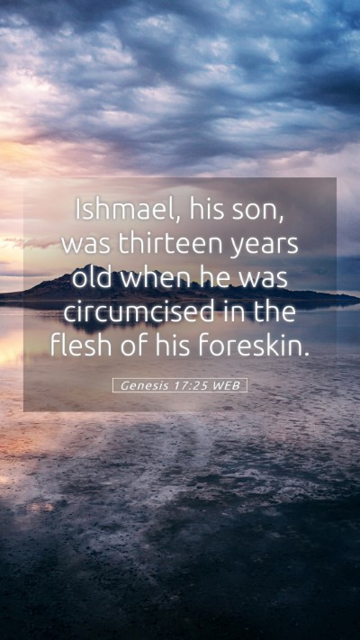 Picture 05 - Genesis 17:25 WEB Mobile Phone Wallpaper - Ishmael, his son, was thirteen years old when he - Mobile Bible Verse Wallpaper