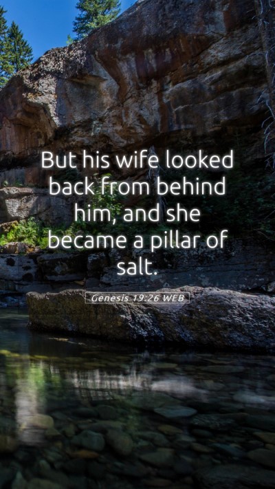 Picture 05 - Genesis 19:26 WEB Mobile Phone Wallpaper - But his wife looked back from behind him, and she - Mobile Bible Verse Wallpaper