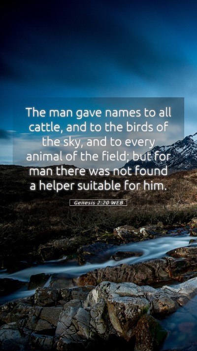 Picture 05 - Genesis 2:20 WEB Mobile Phone Wallpaper - The man gave names to all cattle, and to the - Mobile Bible Verse Wallpaper