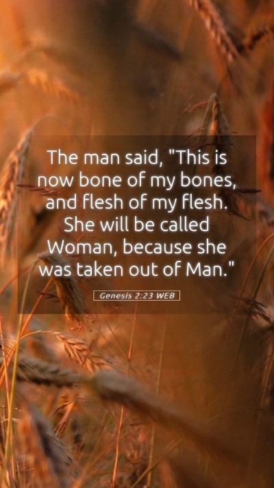 Picture 05 - Genesis 2:23 WEB Mobile Phone Wallpaper - The man said, 