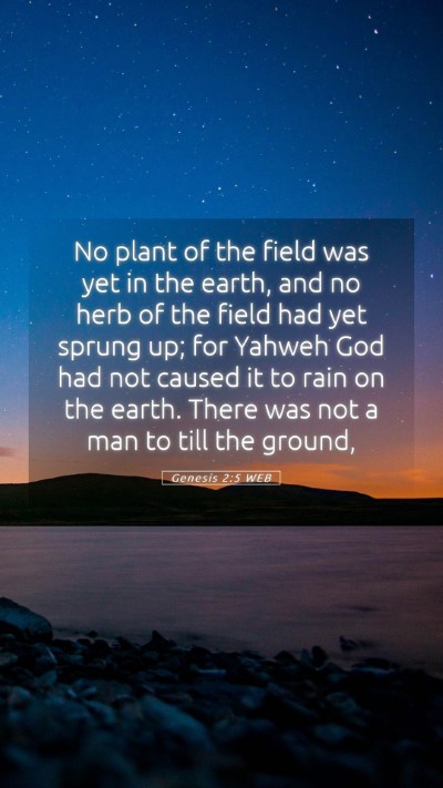 Picture 05 - Genesis 2:5 WEB Mobile Phone Wallpaper - No plant of the field was yet in the earth, and - Mobile Bible Verse Wallpaper