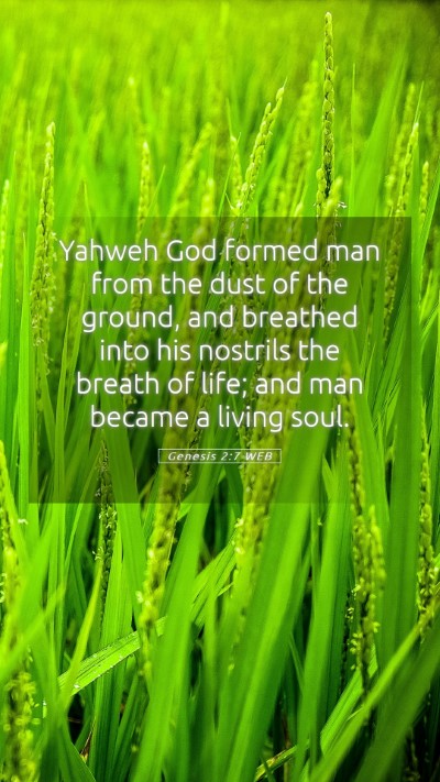 Picture 05 - Genesis 2:7 WEB Mobile Phone Wallpaper - Yahweh God formed man from the dust of the - Mobile Bible Verse Wallpaper