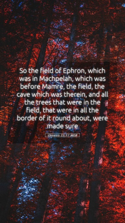Picture 05 - Genesis 23:17 WEB Mobile Phone Wallpaper - So the field of Ephron, which was in Machpelah, - Mobile Bible Verse Wallpaper