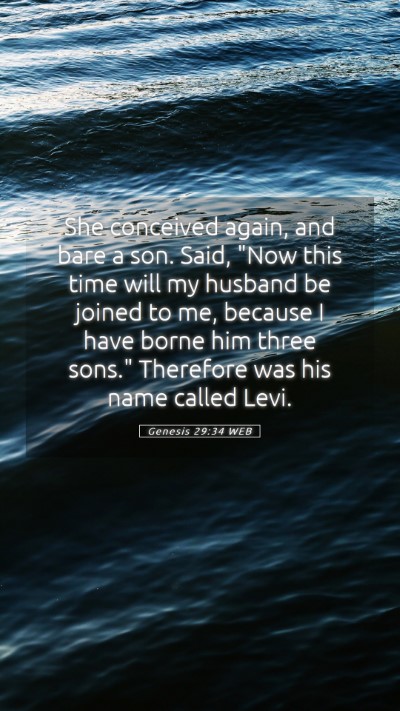 Picture 05 - Genesis 29:34 WEB Mobile Phone Wallpaper - She conceived again, and bare a son. Said, 