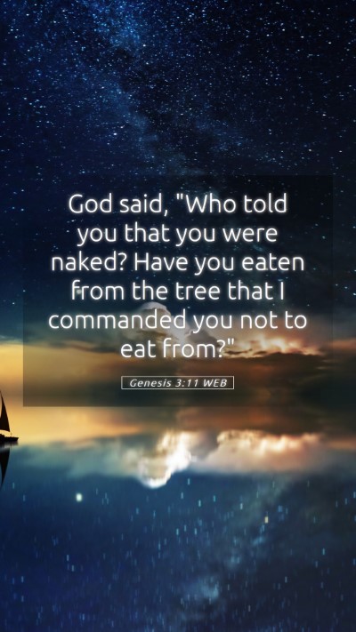 Picture 05 - Genesis 3:11 WEB Mobile Phone Wallpaper - God said, 