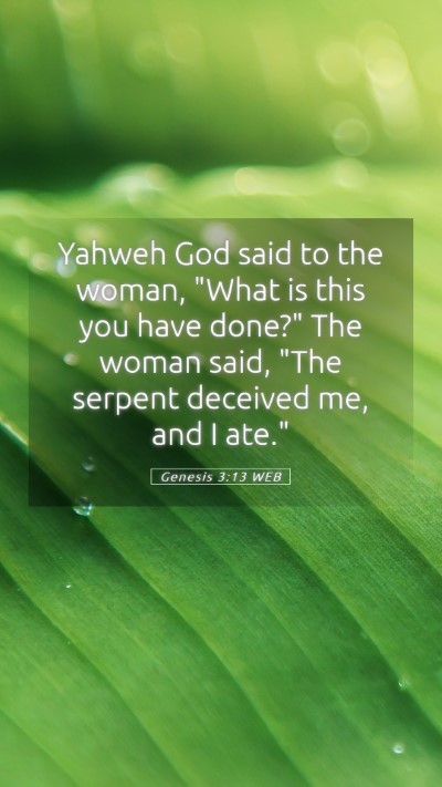 Picture 05 - Genesis 3:13 WEB Mobile Phone Wallpaper - Yahweh God said to the woman, 
