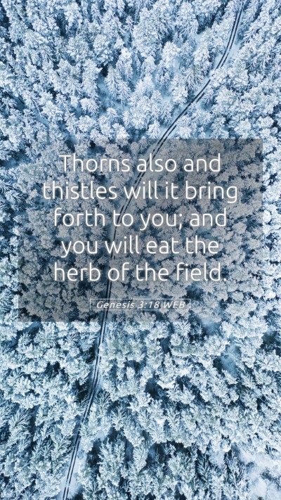 Picture 05 - Genesis 3:18 WEB Mobile Phone Wallpaper - Thorns also and thistles will it bring forth to - Mobile Bible Verse Wallpaper