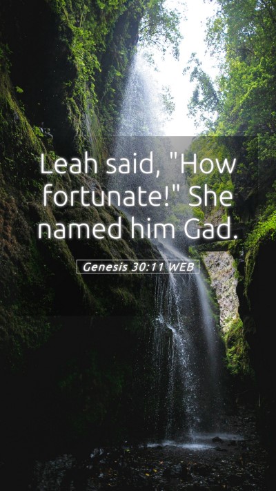 Picture 05 - Genesis 30:11 WEB Mobile Phone Wallpaper - Leah said, 