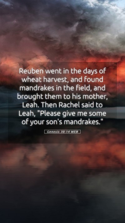 Picture 05 - Genesis 30:14 WEB Mobile Phone Wallpaper - Reuben went in the days of wheat harvest, and - Mobile Bible Verse Wallpaper
