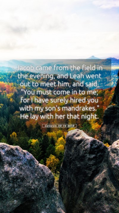 Picture 05 - Genesis 30:16 WEB Mobile Phone Wallpaper - Jacob came from the field in the evening, and - Mobile Bible Verse Wallpaper