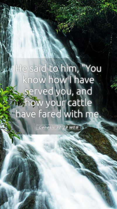 Picture 05 - Genesis 30:29 WEB Mobile Phone Wallpaper - He said to him, 