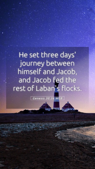 Picture 05 - Genesis 30:36 WEB Mobile Phone Wallpaper - He set three days' journey between himself and - Mobile Bible Verse Wallpaper