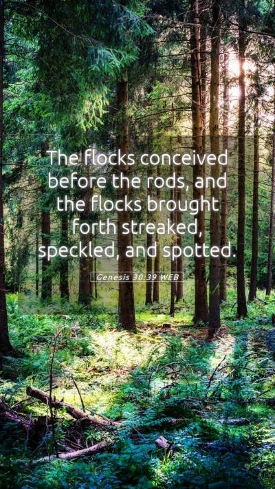 Picture 05 - Genesis 30:39 WEB Mobile Phone Wallpaper - The flocks conceived before the rods, and the - Mobile Bible Verse Wallpaper