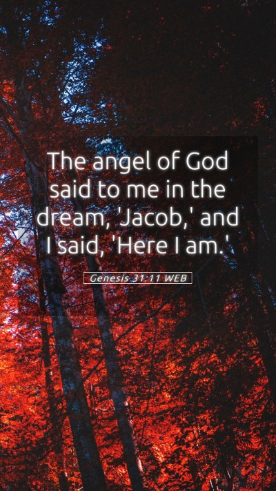 Picture 05 - Genesis 31:11 WEB Mobile Phone Wallpaper - The angel of God said to me in the dream, - Mobile Bible Verse Wallpaper