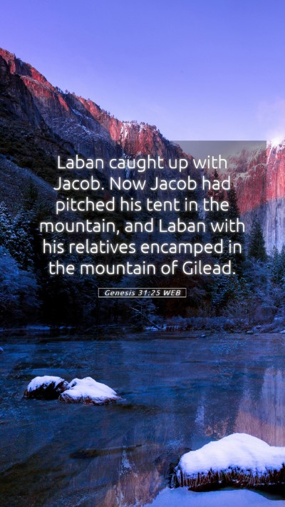 Picture 05 - Genesis 31:25 WEB Mobile Phone Wallpaper - Laban caught up with Jacob. Now Jacob had pitched - Mobile Bible Verse Wallpaper