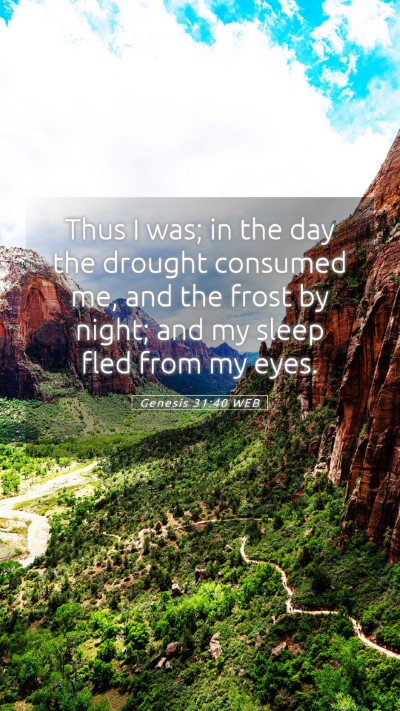 Picture 05 - Genesis 31:40 WEB Mobile Phone Wallpaper - Thus I was; in the day the drought consumed me, - Mobile Bible Verse Wallpaper