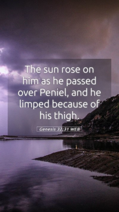 Picture 05 - Genesis 32:31 WEB Mobile Phone Wallpaper - The sun rose on him as he passed over Peniel, and - Mobile Bible Verse Wallpaper