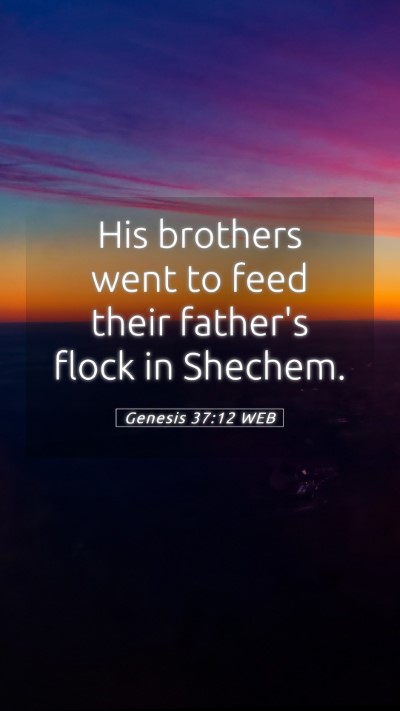 Picture 05 - Genesis 37:12 WEB Mobile Phone Wallpaper - His brothers went to feed their father's flock in - Mobile Bible Verse Wallpaper