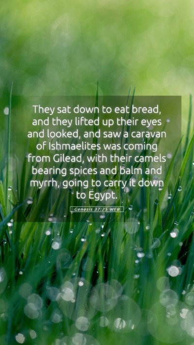 Picture 05 - Genesis 37:25 WEB Mobile Phone Wallpaper - They sat down to eat bread, and they lifted up - Mobile Bible Verse Wallpaper