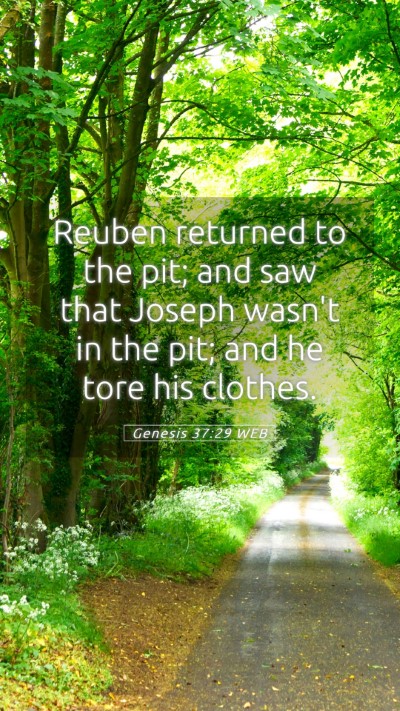 Picture 05 - Genesis 37:29 WEB Mobile Phone Wallpaper - Reuben returned to the pit; and saw that Joseph - Mobile Bible Verse Wallpaper