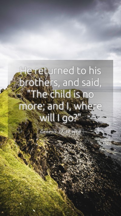 Picture 05 - Genesis 37:30 WEB Mobile Phone Wallpaper - He returned to his brothers, and said, 