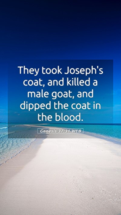 Picture 05 - Genesis 37:31 WEB Mobile Phone Wallpaper - They took Joseph's coat, and killed a male goat, - Mobile Bible Verse Wallpaper