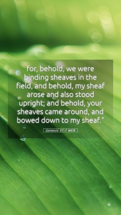 Picture 05 - Genesis 37:7 WEB Mobile Phone Wallpaper - for, behold, we were binding sheaves in the - Mobile Bible Verse Wallpaper