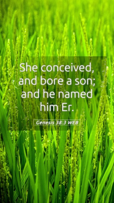 Picture 05 - Genesis 38:3 WEB Mobile Phone Wallpaper - She conceived, and bore a son; and he named him - Mobile Bible Verse Wallpaper