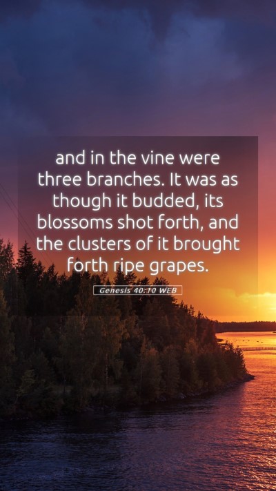 Picture 05 - Genesis 40:10 WEB Mobile Phone Wallpaper - and in the vine were three branches. It was as - Mobile Bible Verse Wallpaper