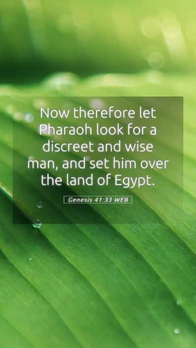 Picture 05 - Genesis 41:33 WEB Mobile Phone Wallpaper - Now therefore let Pharaoh look for a discreet and - Mobile Bible Verse Wallpaper