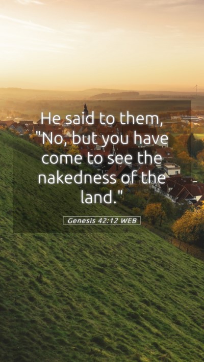 Picture 05 - Genesis 42:12 WEB Mobile Phone Wallpaper - He said to them, 