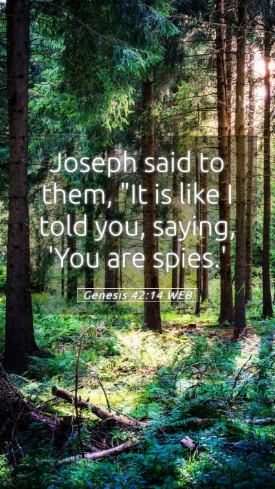 Picture 05 - Genesis 42:14 WEB Mobile Phone Wallpaper - Joseph said to them, 