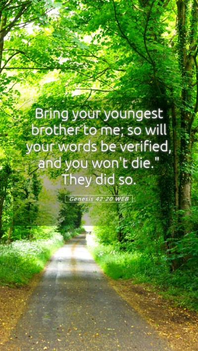 Picture 05 - Genesis 42:20 WEB Mobile Phone Wallpaper - Bring your youngest brother to me; so will your - Mobile Bible Verse Wallpaper