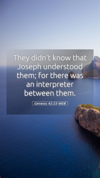Picture 05 - Genesis 42:23 WEB Mobile Phone Wallpaper - They didn't know that Joseph understood them; for - Mobile Bible Verse Wallpaper