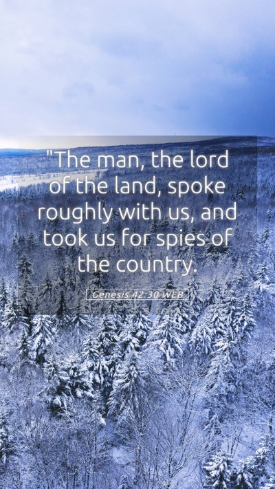 Picture 05 - Genesis 42:30 WEB Mobile Phone Wallpaper - 