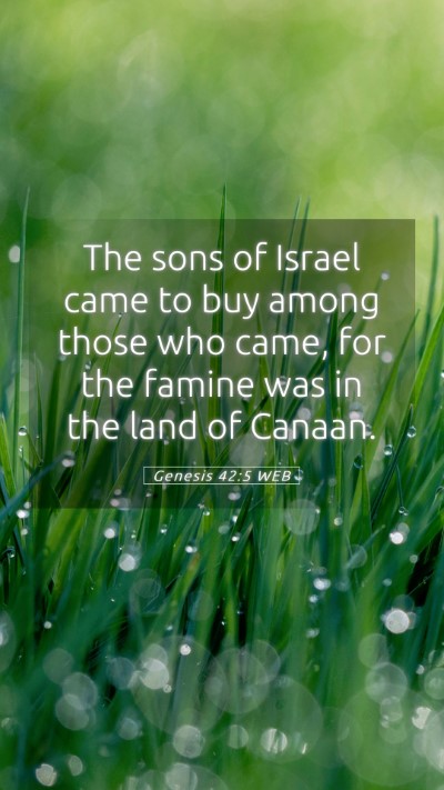 Picture 05 - Genesis 42:5 WEB Mobile Phone Wallpaper - The sons of Israel came to buy among those who - Mobile Bible Verse Wallpaper