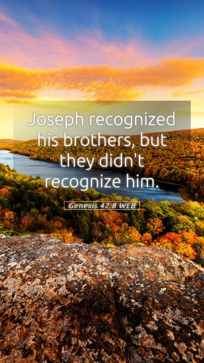 Picture 05 - Genesis 42:8 WEB Mobile Phone Wallpaper - Joseph recognized his brothers, but they didn't - Mobile Bible Verse Wallpaper