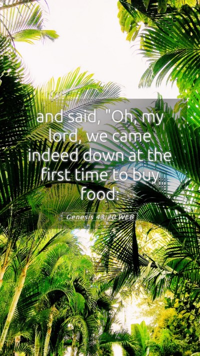 Picture 05 - Genesis 43:20 WEB Mobile Phone Wallpaper - and said, 