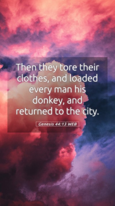 Picture 05 - Genesis 44:13 WEB Mobile Phone Wallpaper - Then they tore their clothes, and loaded every - Mobile Bible Verse Wallpaper