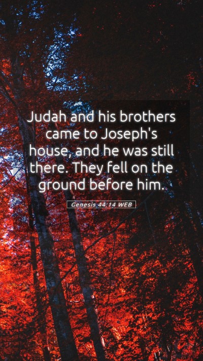 Picture 05 - Genesis 44:14 WEB Mobile Phone Wallpaper - Judah and his brothers came to Joseph's house, - Mobile Bible Verse Wallpaper