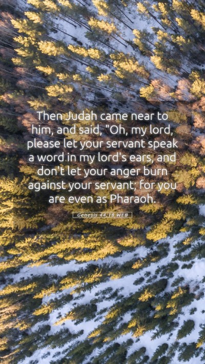 Picture 05 - Genesis 44:18 WEB Mobile Phone Wallpaper - Then Judah came near to him, and said, 