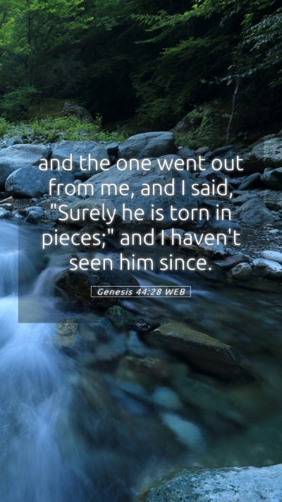 Picture 05 - Genesis 44:28 WEB Mobile Phone Wallpaper - and the one went out from me, and I said, 