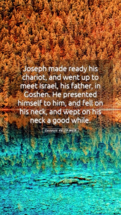 Picture 05 - Genesis 46:29 WEB Mobile Phone Wallpaper - Joseph made ready his chariot, and went up to - Mobile Bible Verse Wallpaper