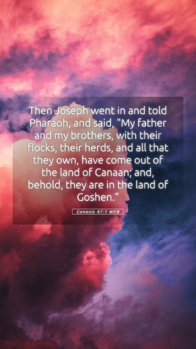 Picture 05 - Genesis 47:1 WEB Mobile Phone Wallpaper - Then Joseph went in and told Pharaoh, and said, - Mobile Bible Verse Wallpaper
